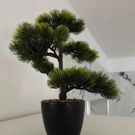 Wellness اوسترافا